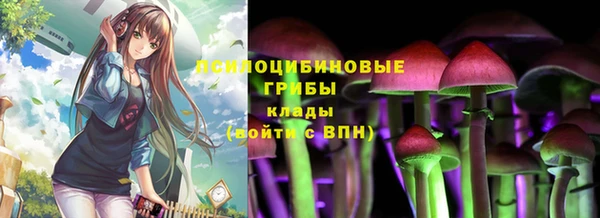 сатива Кулебаки