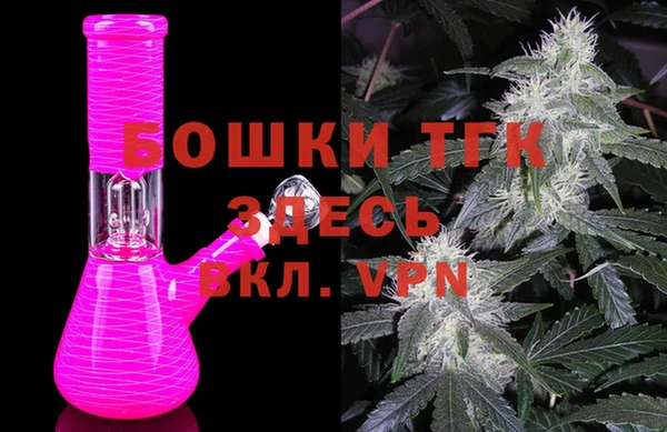 сатива Кулебаки