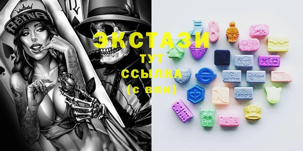 сатива Кулебаки